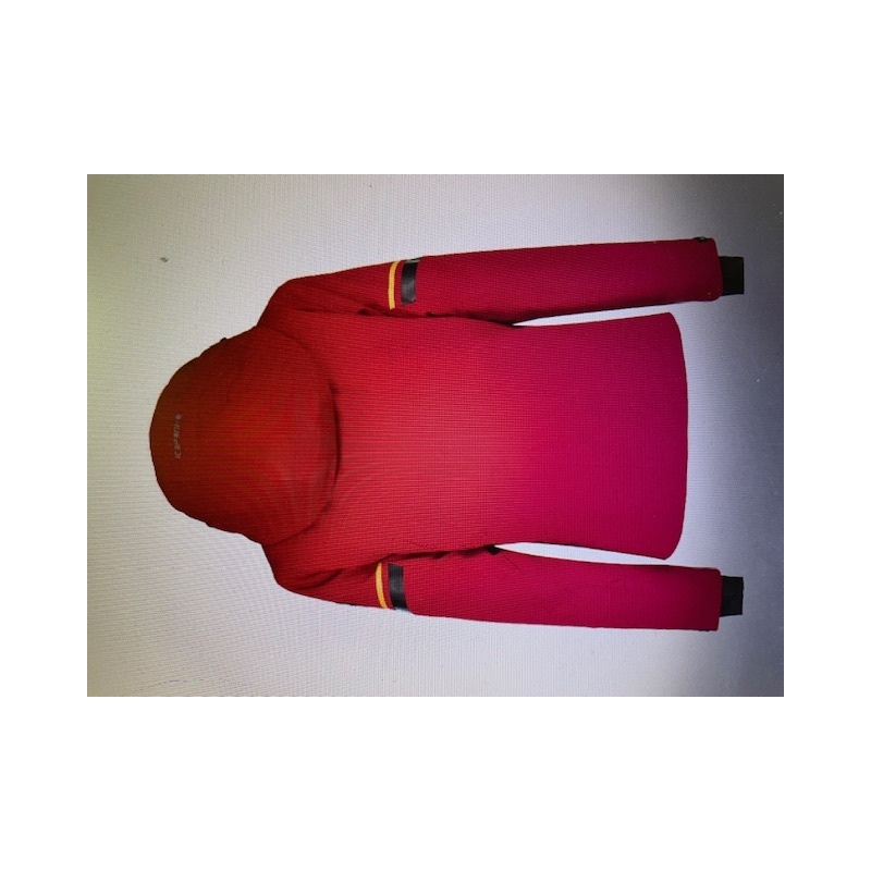 Dámská lyžařská bunda Icepeak Friona červená